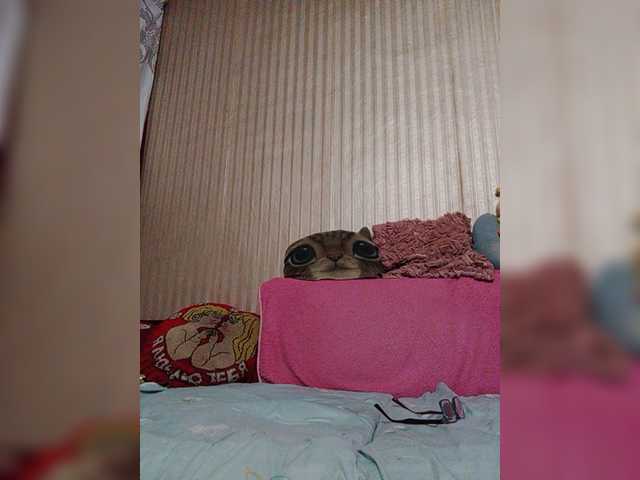 shamil20054 live cam preview