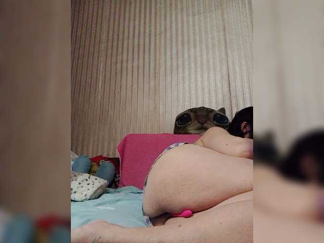 shamil20054 live webcam show