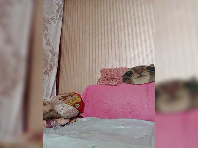 shamil20054 live cam on BongaCams