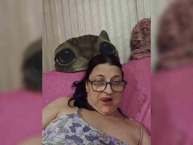 milisenta webcam