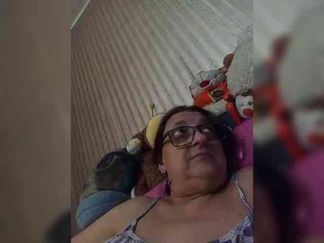 milisenta webcam