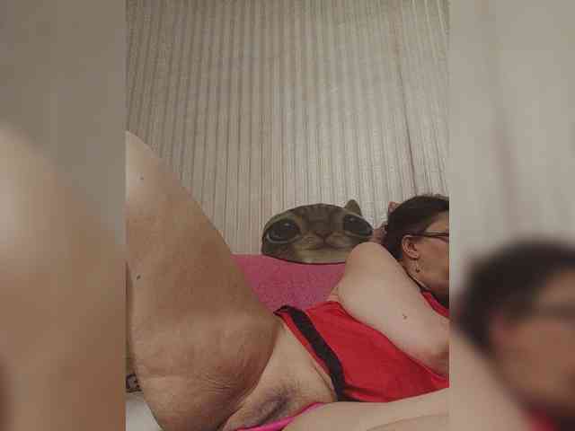 milisenta webcam