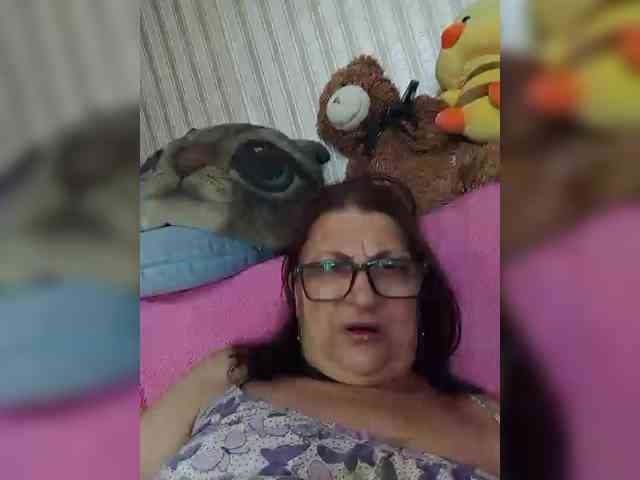 milisenta webcam