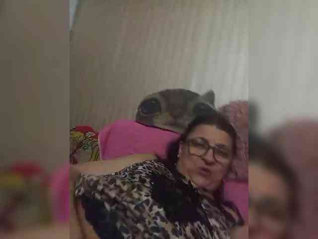 milisenta webcam