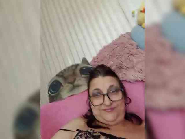 milisenta webcam