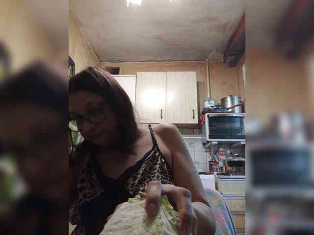 milisenta webcam