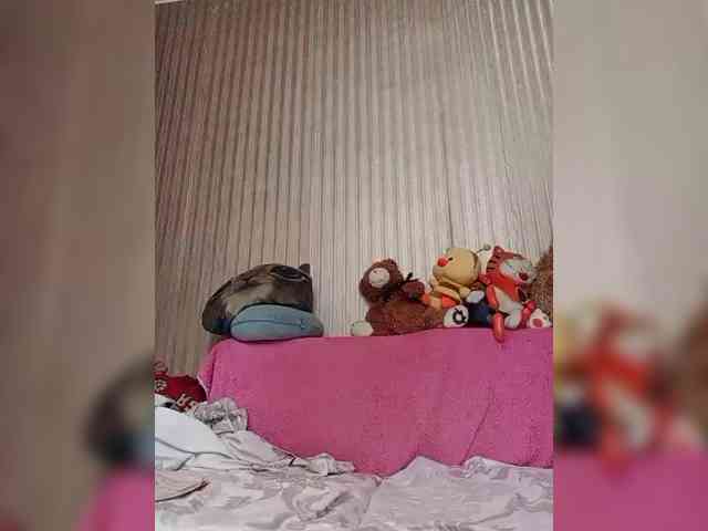 milisenta webcam