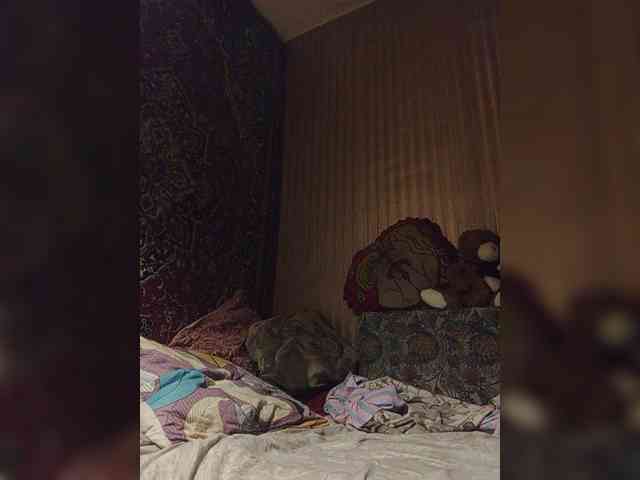 milisenta webcam