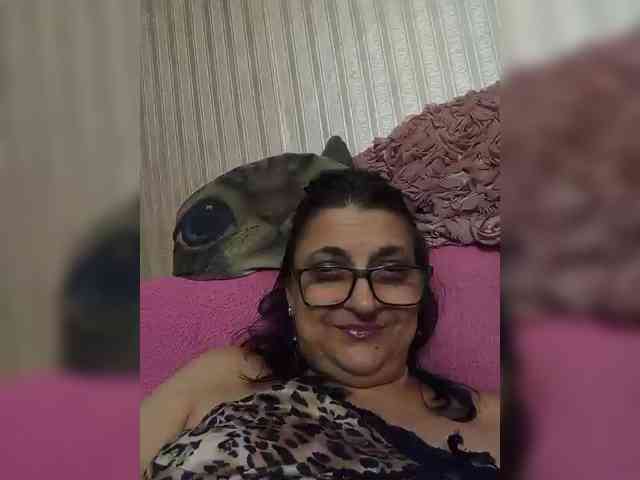 milisenta webcam