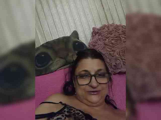 milisenta webcam