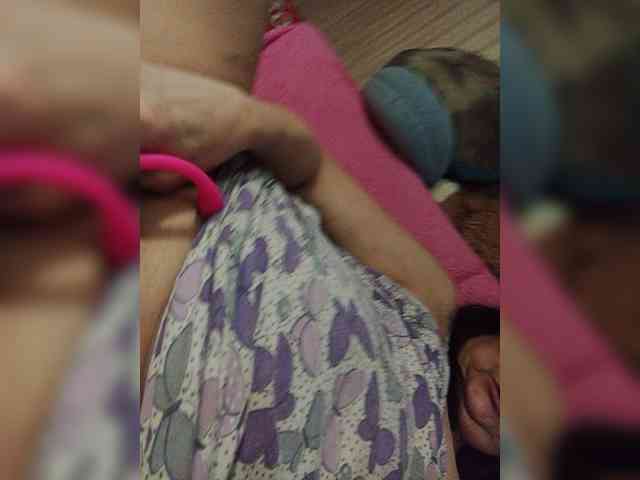 milisenta webcam