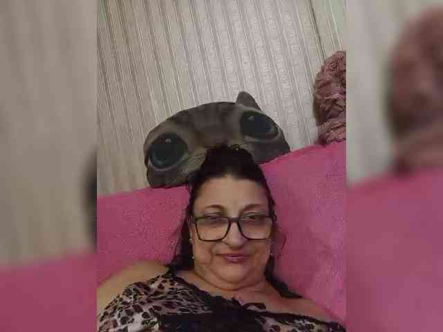 milisenta webcam