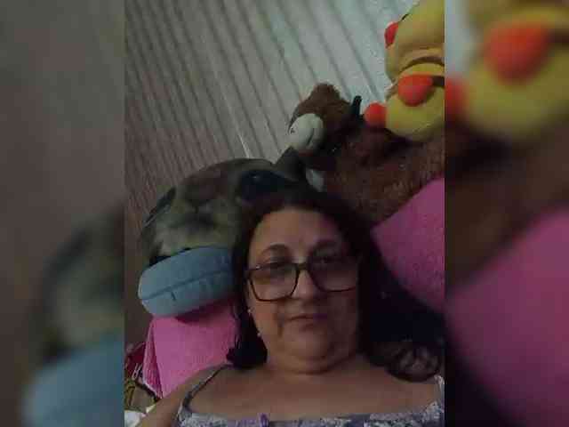 milisenta webcam