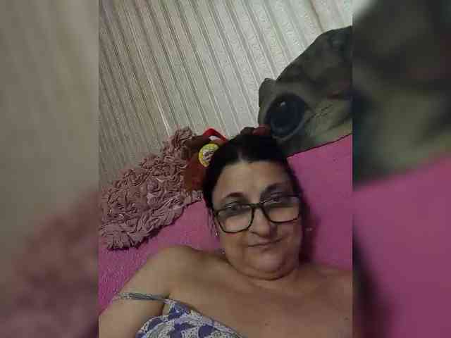 milisenta webcam