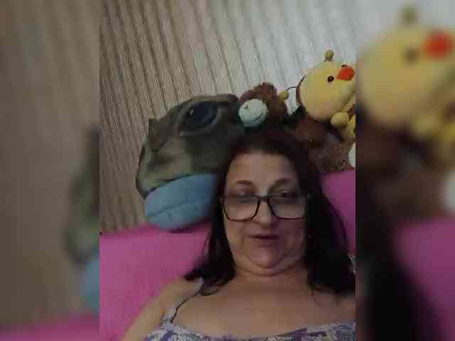 milisenta webcam