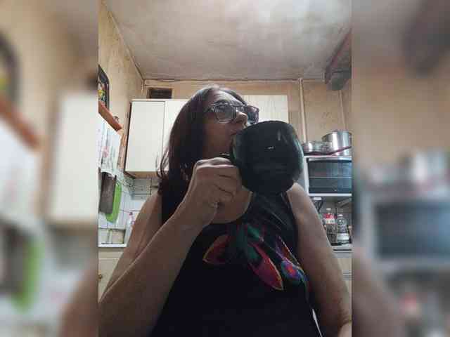 milisenta webcam