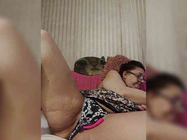 milisenta webcam