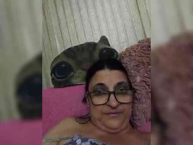 milisenta webcam