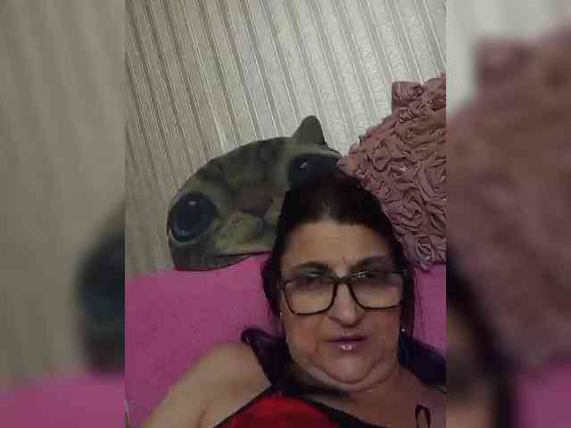 milisenta webcam