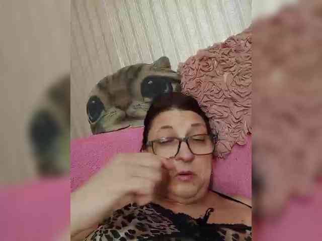 milisenta webcam
