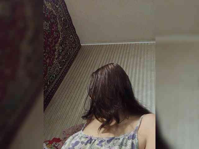 milisenta webcam