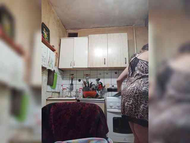 milisenta webcam