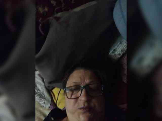 milisenta webcam