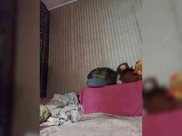 milisenta webcam