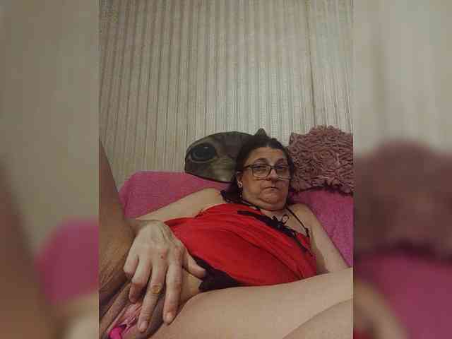 milisenta webcam