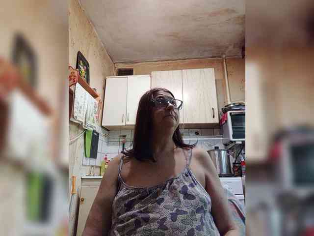 milisenta webcam