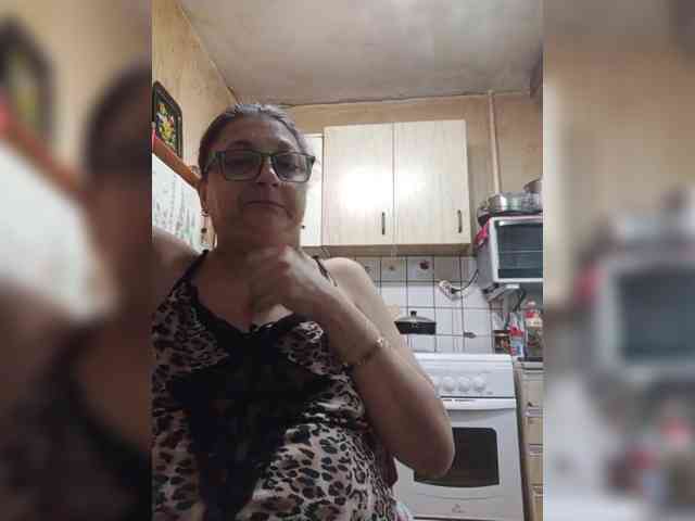 milisenta webcam
