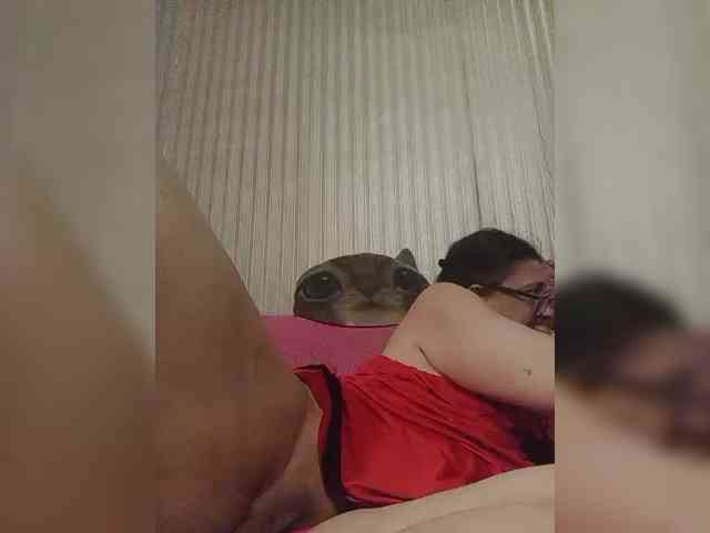 milisenta webcam
