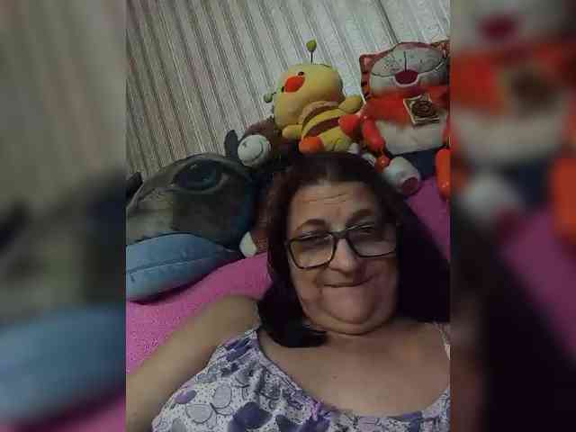 milisenta webcam