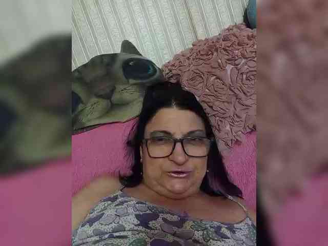 milisenta webcam