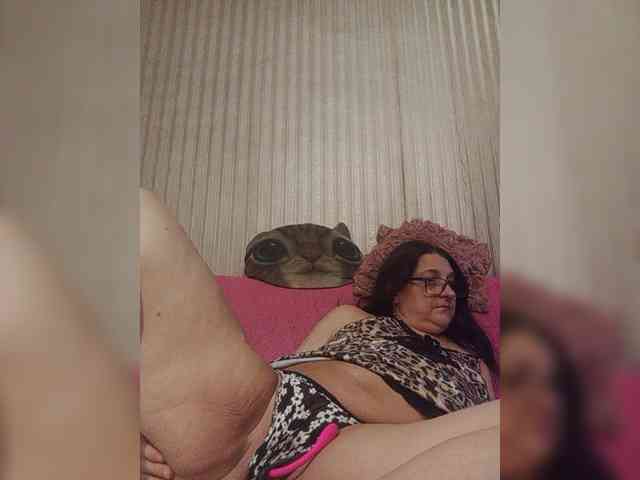 milisenta webcam