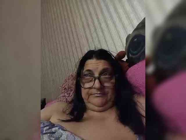 milisenta webcam