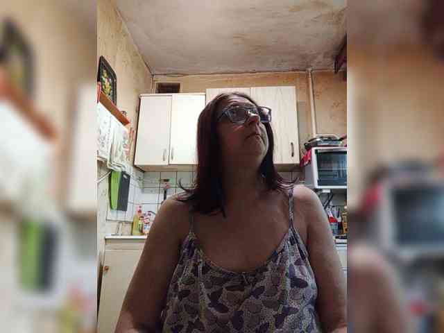 milisenta webcam