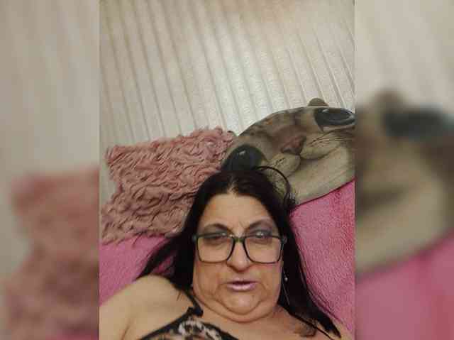 milisenta webcam