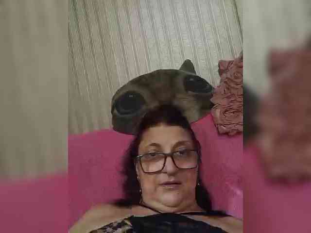 milisenta webcam
