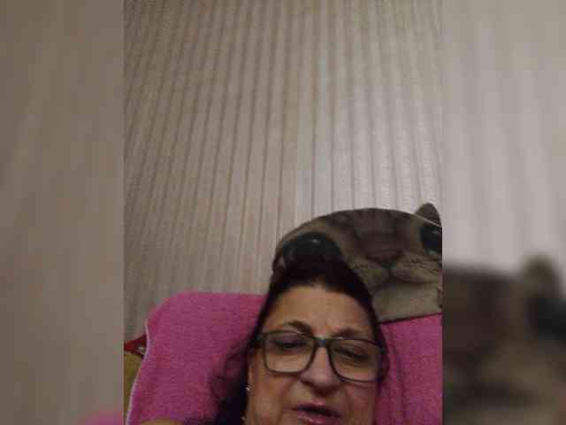 milisenta webcam