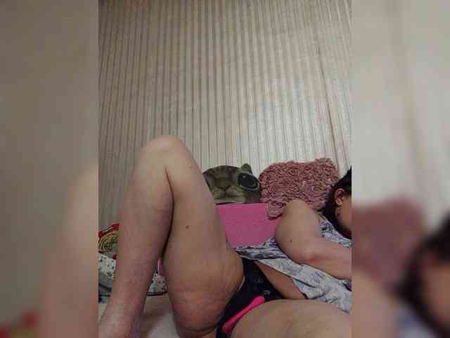 milisenta webcam