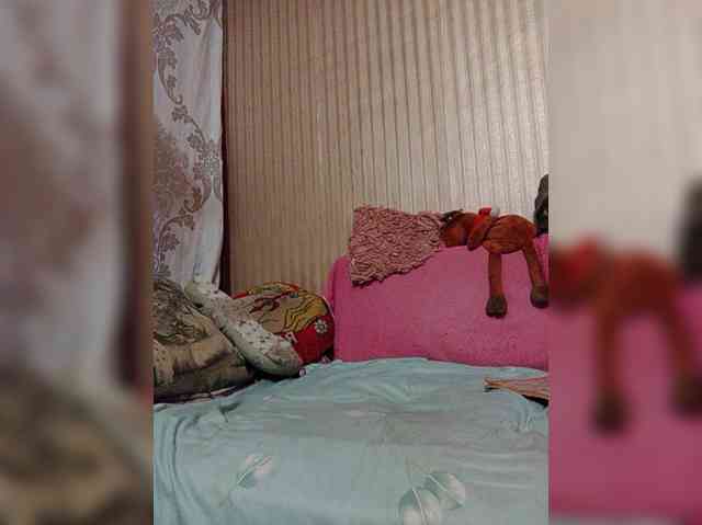 milisenta webcam