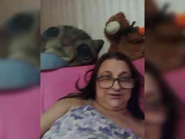 milisenta webcam
