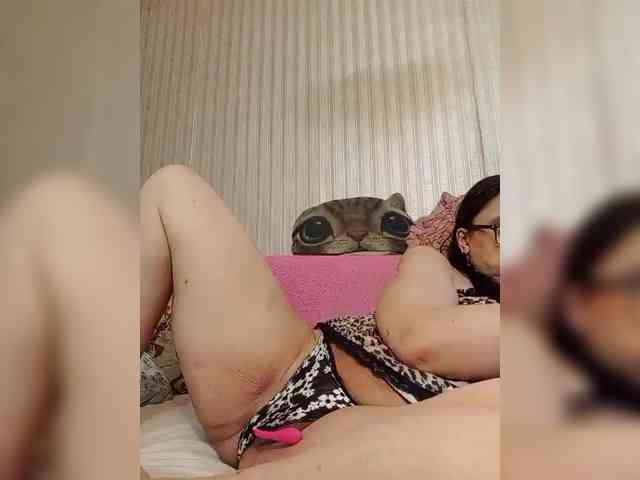 milisenta webcam