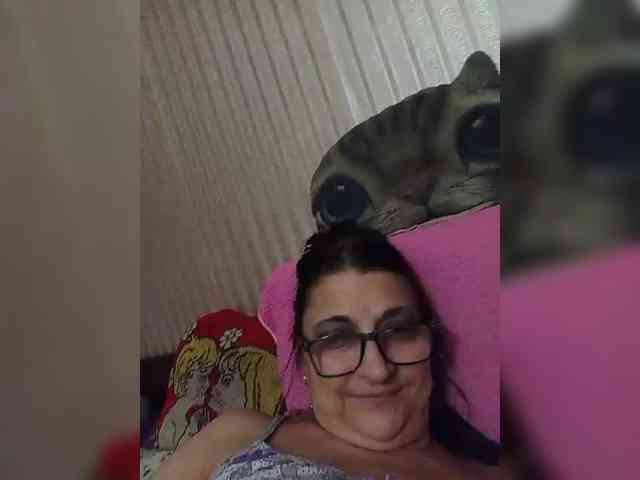 milisenta webcam