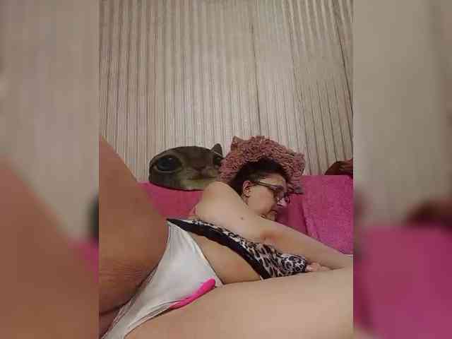 milisenta webcam