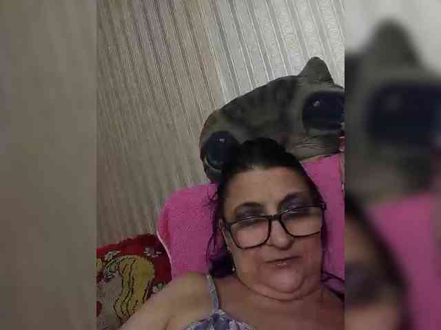 milisenta webcam