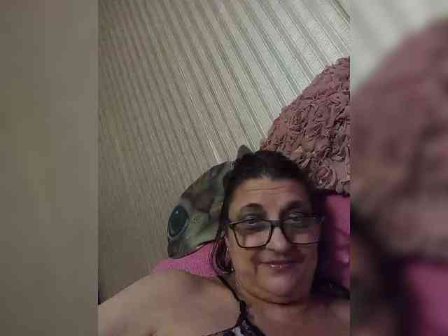 milisenta webcam
