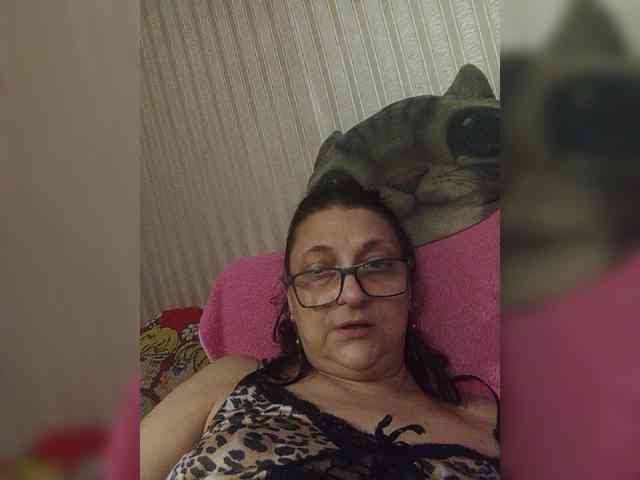milisenta webcam