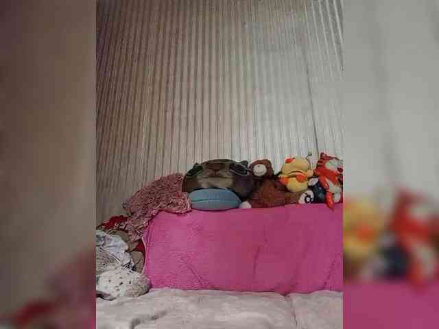 milisenta webcam